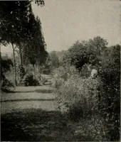 Picture 52 of 88 from Inexpensive homes of individuality : being a collection of photographs and floor plans illustrating certain of America's best country and suburban homes of moderate size (1911), leaf 46
