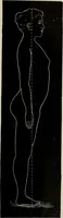 An illustration from The influence of dress in producing the physical decadence of American women : annual address upon obstetrics and gynecology (1891)