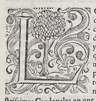 An illustration from Informacion en derecho. : En defensa de la exempcion absoluta que las religiones tienen de los ordinarios, y de la especial de que los doctrinantes religiosos no sean por ellos visitados de costumbres, ni examinados en el idioma. (1621)