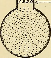 An illustration from Information; elementary electricity, motor car electric systems, the gas engine from an ignition point of view, driving the car (1920)