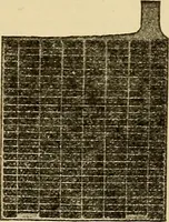 An illustration from Information; elementary electricity, motor car electric systems, the gas engine from an ignition point of view, driving the car (1920)