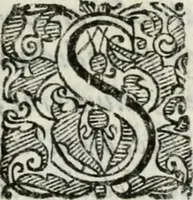 Picture 2 of 8 from In funere illustr.mi ac reuer.mi dd. Caroli Bouii episcopi sarsinatensis oratio (1646), leaf 4