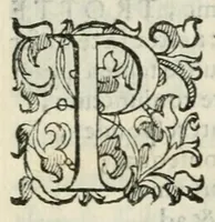 An illustration from In fvnere Fabricii Gentinii è Congregatione Beatissimae Virginis Dei Matris Annunciatae et academici parthenii, in ferrariensi Gymnasio Societatis Iesu oratio : habita in Accademia Parthenia (1591)