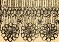 An illustration from Ingalls' hand-book of darned lace patterns .. (1885)