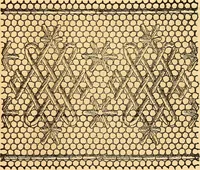 An illustration from Ingalls' hand-book of darned lace patterns .. (1885)