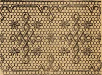 An illustration from Ingalls' hand-book of darned lace patterns .. (1885)