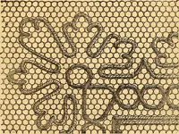 An illustration from Ingalls' hand-book of darned lace patterns .. (1885)