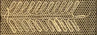 An illustration from Ingalls' hand-book of darned lace patterns .. (1885)