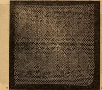 An illustration from Ingalls' hand-book of darned lace patterns .. (1885)