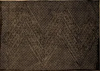 An illustration from Ingalls' hand-book of darned lace patterns .. (1885)