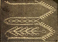 An illustration from Ingalls' hand-book of darned lace patterns .. (1885)