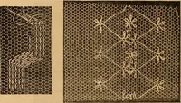 An illustration from Ingalls' hand-book of darned lace patterns .. (1885)
