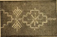 An illustration from Ingalls' hand-book of darned lace patterns .. (1885)