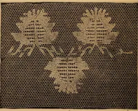 An illustration from Ingalls' hand-book of darned lace patterns .. (1885)