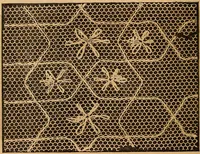 An illustration from Ingalls' hand-book of darned lace patterns .. (1885)