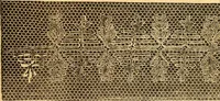 An illustration from Ingalls' hand-book of darned lace patterns .. (1885)