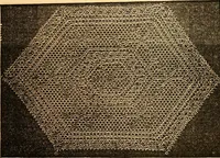 An illustration from Ingalls' hand-book of darned lace patterns .. (1885)