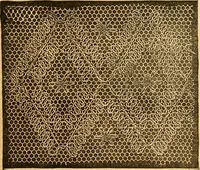 An illustration from Ingalls' hand-book of darned lace patterns .. (1885)