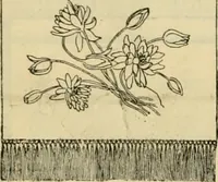An illustration from Ingalls' illustrated catalogue and special wholesale price list of stamped goods, stamping outfits, fancy work materials, Briggs' transfer patterns, fancy work books and art novelties (1887)
