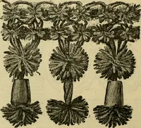 An illustration from Ingalls' illustrated catalogue and special wholesale price list of stamped goods, stamping outfits, fancy work materials, Briggs' transfer patterns, fancy work books and art novelties (1887)