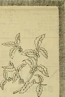 Picture 6 of 66 from Ingalls' illustrated catalogue and special wholesale price list of stamped goods, stamping outfits, fancy work materials, Briggs' transfer patterns, fancy work books and art novelties (1887), leaf 5