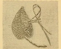 An illustration from Ingalls' manual of fancy work (1882)