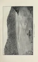 An illustration from In the heart of Africa (1910)