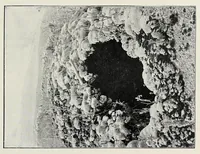 An illustration from In the heart of Africa (1910)