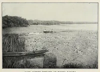 An illustration from In the heart of Africa (1910)
