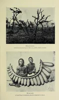 Picture 4 of 4 from In the heart of Bantuland; a record of twenty-nine years' pioneering in Central Africa among the Bantu peoples, with a description of their habits, customs, secret societies & languages (1922), leaf 271