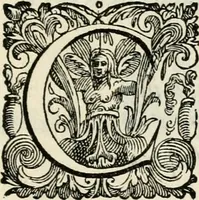 An illustration from In Henrici III. Galliarvm, et Sarmatiae Regis potentissimi ad vrbem Venetam aduentum (1574)