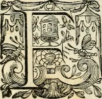 An illustration from In Henrici III. Galliarvm, et Sarmatiae Regis potentissimi ad vrbem Venetam aduentum (1574)