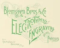 Picture 2 of 16 from The Inland printer (1883), leaf 162