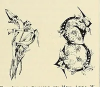 Picture 5 of 16 from The Inland printer (1883), leaf 333
