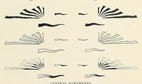 Picture 13 of 16 from The Inland printer (1883), leaf 723