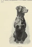 An illustration from The Inland printer (1883)