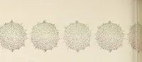 Picture 4 of 15 from The Inland printer (1883), leaf 220