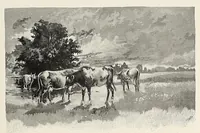 Picture 12 of 15 from The Inland printer (1883), leaf 861
