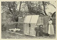 Picture 8 of 14 from The Inland printer (1883), leaf 248