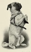 An illustration from The Inland printer (1883)
