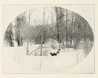 Picture 5 of 14 from The Inland printer (1883), leaf 224