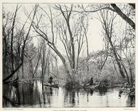 Picture 10 of 14 from The Inland printer (1883), leaf 623