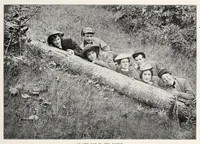 An illustration from The Inland printer (1883)