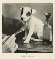 Picture 9 of 13 from The Inland printer (1883), leaf 518