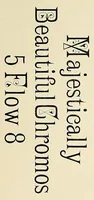Picture 14 of 16 from The Inland printer (1883), leaf 501