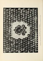 An illustration from The Inland printer (1883)