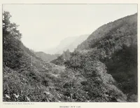 Picture 3 of 13 from The Inland printer (1883), leaf 265