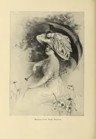 Picture 12 of 13 from The Inland printer (1883), leaf 994
