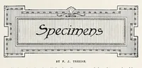 An illustration from The Inland printer (1883)