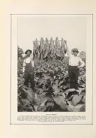 Picture 11 of 14 from The Inland printer (1883), leaf 664